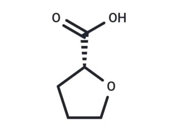 (R)-Tetrahydrofuran-2-carboxylic acid