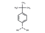 4-tert-Butylphenylboronic acid