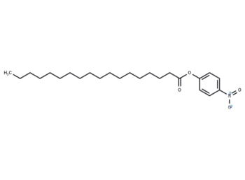 4-Nitrophenyl stearate