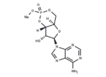 Cyclic AMP sodium 1 Cyclic AMP sodium