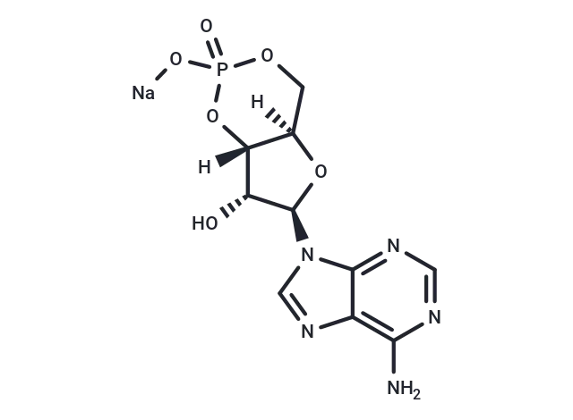 Cyclic AMP sodium CgoaEWg6tWiEeWJCAAAAAD6kMr0902- Immunomart