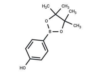 4-Hydroxyphenylboronic acid pinacol ester