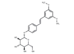 Pterostilbene glucoside