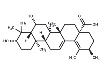 Uncargenin A