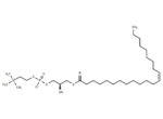 1-erucoyl-sn-glycero-3-phosphocholine 1 1-erucoyl-sn-glycero-3-phosphocholine