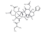 12-Acetyltrichilin B