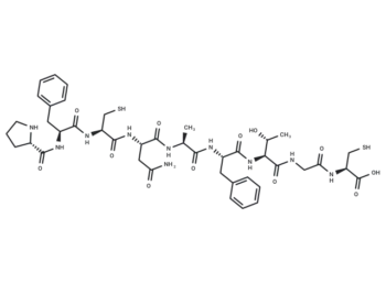 Crustacean Cardioactive Peptide (CCAP)