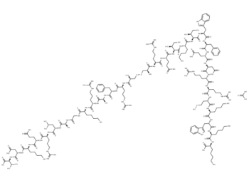 PKC β pseudosubstrate acetate