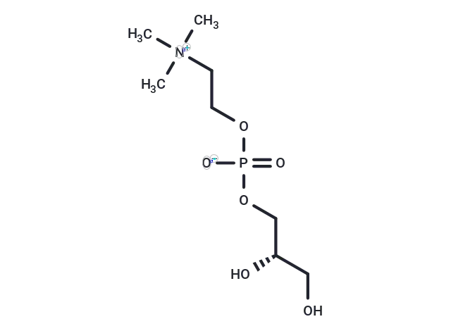 Glycerophosphocholine CgoaEWgtswCEd7EWAAAAAEJriPw570- Immunomart