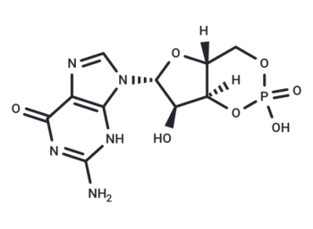 Cyclic GMP