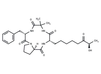 Dihydrochlamydocin analog-1