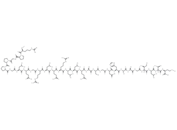 Orexin B, canine