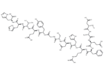 β-Amyloid (1-14)