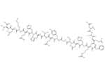 β-Amyloid (1-18)