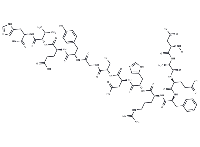 β-Amyloid (1-13)