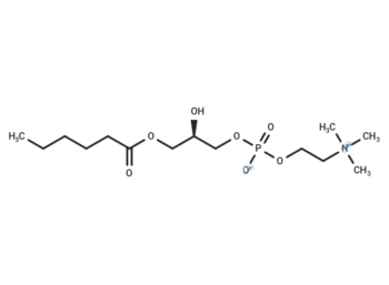 1-Hexanoyl-2-hydroxy-sn-glycero-3-phosphocholine