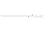 1-Docosanoyl-sn-glycero-3-phosphocholine