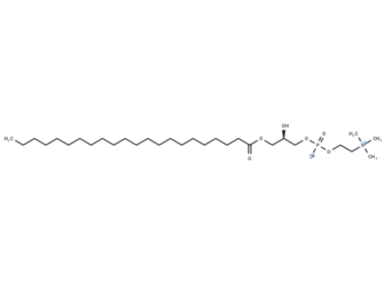 1-Docosanoyl-sn-glycero-3-phosphocholine