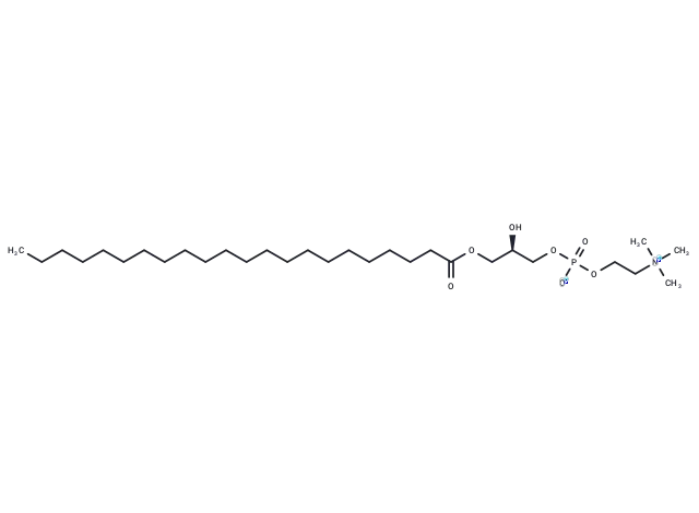 1-Docosanoyl-sn-glycero-3-phosphocholine