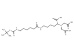 t-Boc-aminocaproicnitrilotriacetic acid