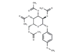 4-Methoxyphenyl β-D-galactopyranoside 2