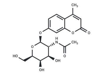 4-Methylumbelliferyl-N-acetyl-β-D-galactosaminide