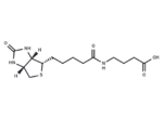 N-Biotinyl-4-aminobutanoic acid