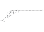 Cholesteryl stearate
