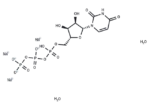 Uridine triphosphate trisodium dihydrate