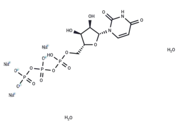 Uridine triphosphate trisodium dihydrate