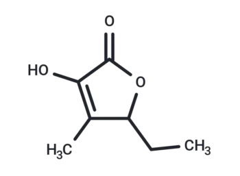 5-Ethyl-3-hydroxy-4-methylfuran-2(5H)-one