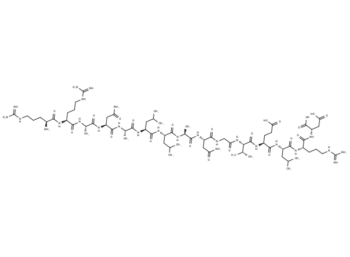 TNF-α (31-45), human
