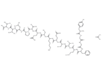 alpha-Endorphin acetate