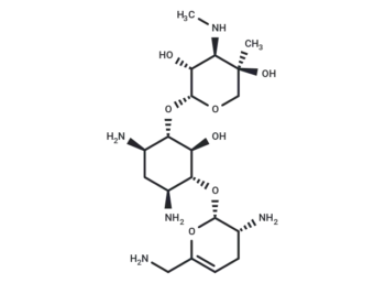 Sisomicin - Natural Product - Immunomart