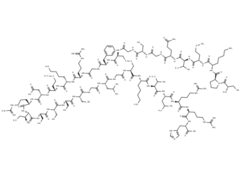 BNP (1-32) - Buy Online from Immunomart