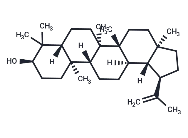 Epilupeol