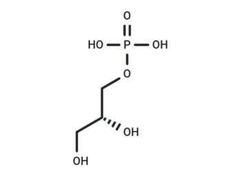sn-Glycerol 3-phosphate
