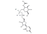 UDP-GlcNAc Disodium Salt