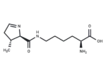 L-Pyrrolysine