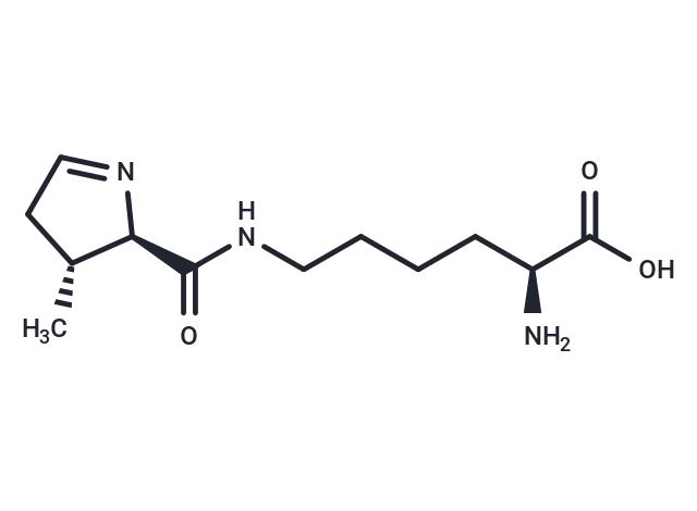 L-Pyrrolysine