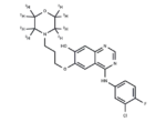 O-Desmethyl gefitinib D8