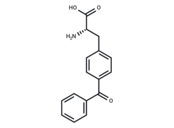 4-Benzoyl-L-phenylalanine - Peptide - Immunomart