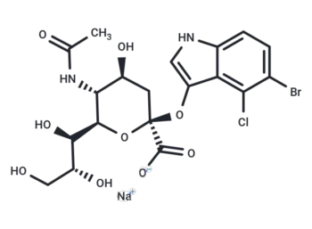 X-NeuNAc - Buy Online from Immunomart