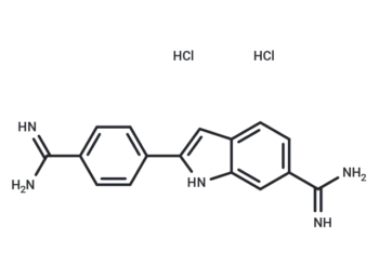 DAPI Dihydrochloride