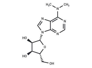 N6,N6-Dimethyladenosine