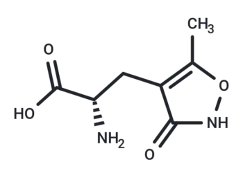 (S)-AMPA