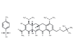Omadacycline tosylate