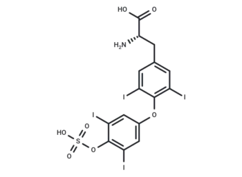 Thyroxine sulfate