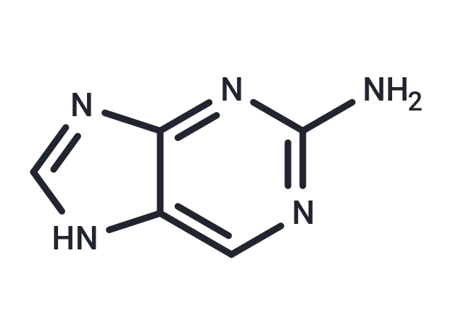 2-Aminopurine