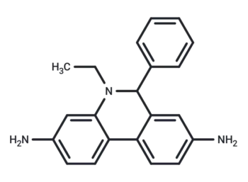 Dihydroethidium